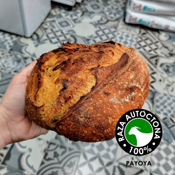 Hogaza de QUESO PAYOYO e higos (800 gr. aprox.)